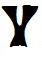 Y